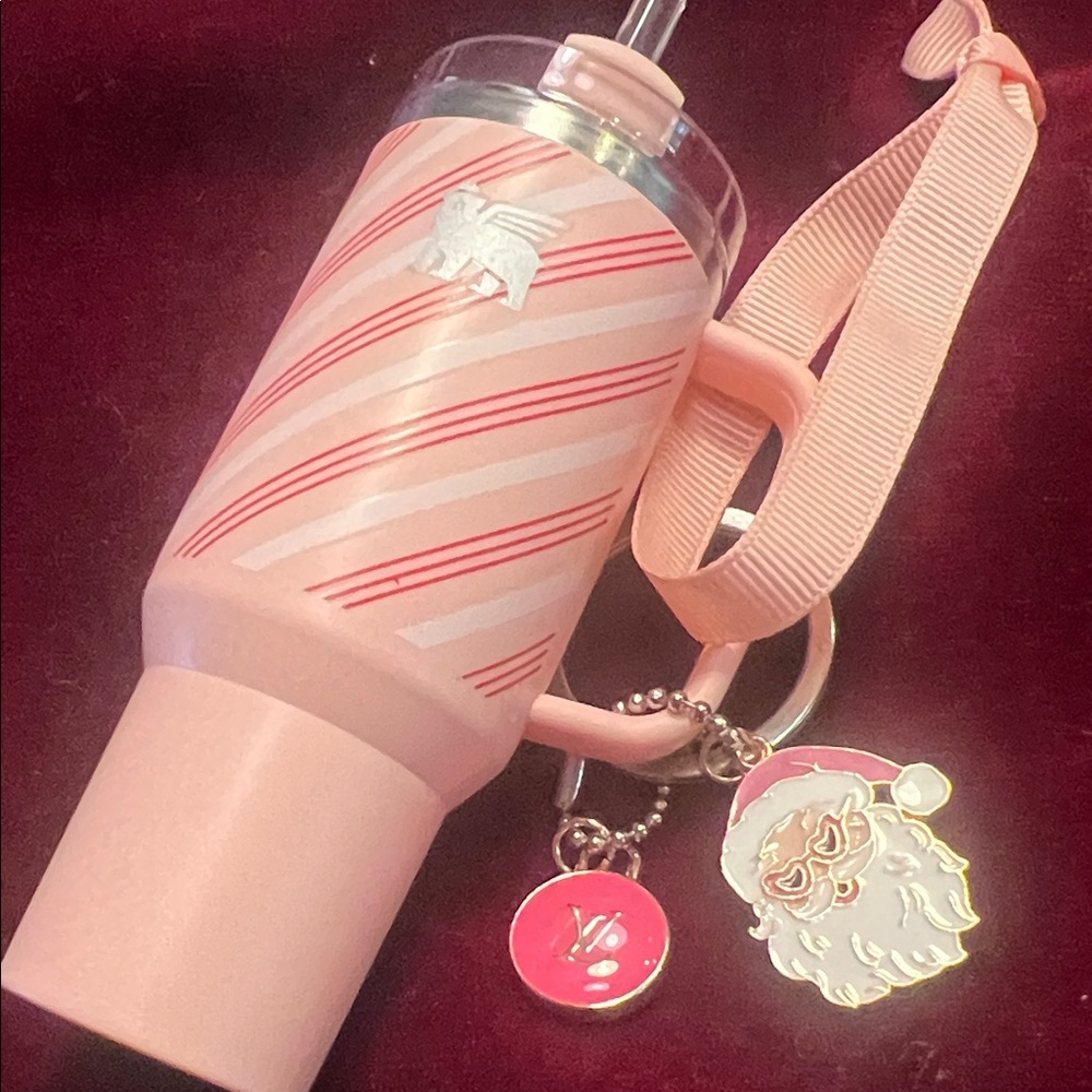 Pink Striped Stanley mini Tumbler with Santa Charm & LV charm